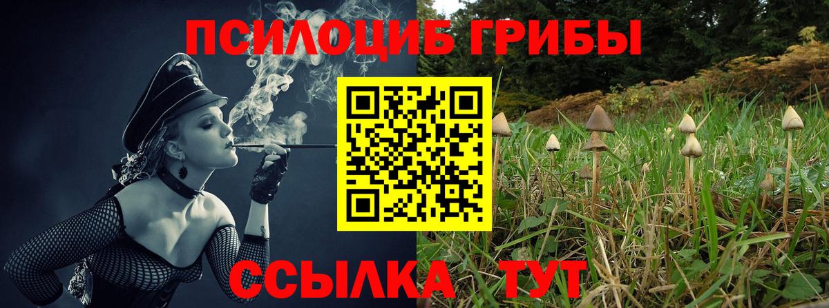 Галлюциногенные грибы Cubensis  Вход с VPN  Северобайкальск 